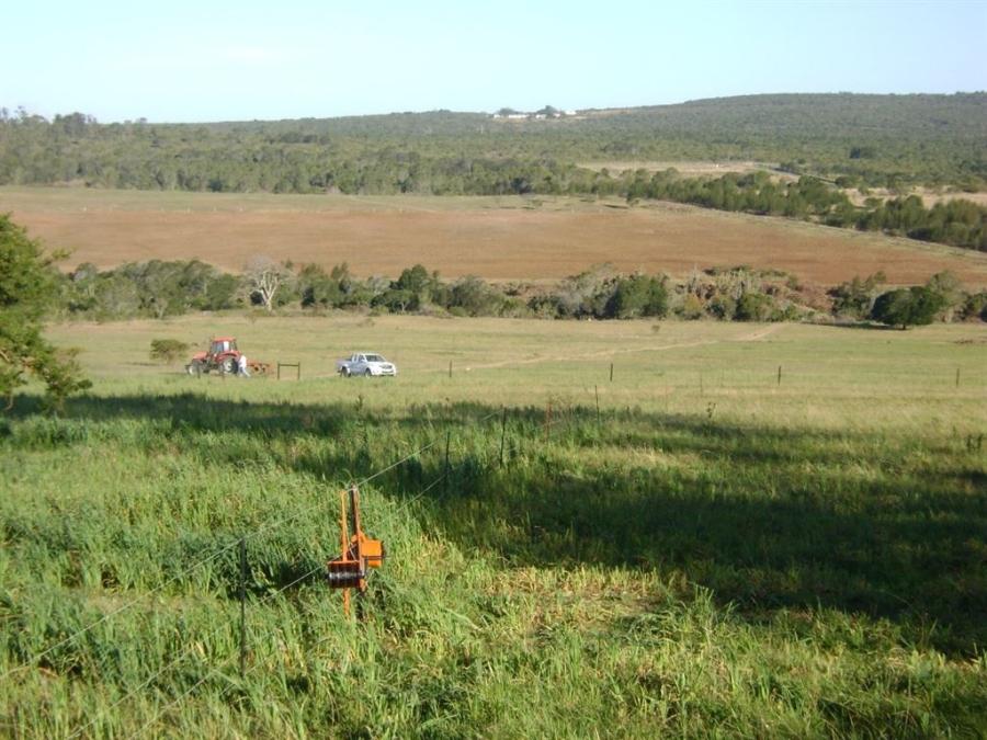 Commercial Property for Sale in Bathurst Eastern Cape